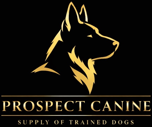 Prospect Canine